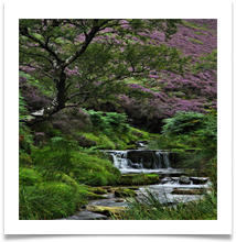 Peak District - Fairbroo - Chris Beesley
